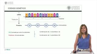 El código genético  5360  UPV [upl. by Tnahsarp26]