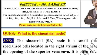 What is the sinoatrial node [upl. by Ardnuaet]