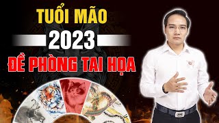 Xem tử vi – Vận hạn tuổi Mão 2023 Gặp hạn Trực Thái Tuế Tai Ương khó lường [upl. by Nnylimaj]