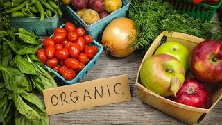 Organic Food World Scenario and Market Trends [upl. by Akinajnat]