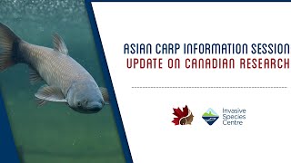 Asian Carp Information Session Update on Canadian Research Invading Ontario’s Waters I [upl. by Venetia946]