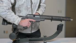 SCSA Taipan X 223 Wylde 165quot PumpStraight Pull Rifle NonResticted [upl. by Golub]