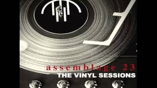 Assemblage 23  Purgatory Analog Mix [upl. by Gnem]