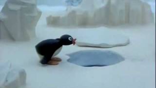 Pingu No [upl. by Carper]