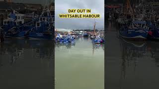 Day out to Whitstable to see the harbour whitstable harbour sunday [upl. by Ebeohp]