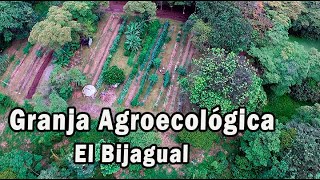 GRANJA AGROECOLÓGICA EL BIJAGUAL [upl. by Liva533]