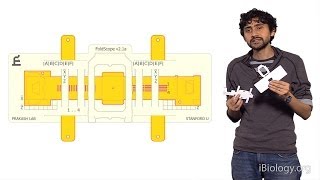 Manu Prakash Stanford Foldscope Origami Based Paper Microscopes [upl. by Elson665]