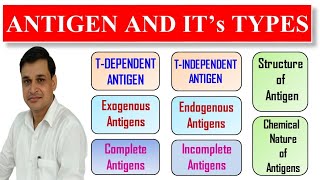 Antigen and its types  T dependent and T independent Antigens  Chemical nature of antigen [upl. by Sitra635]