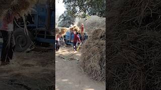 Dhan missai with thresher machine tamil song music bgm bts vikram [upl. by Perla]