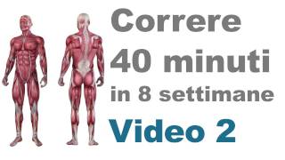 Allenamento Corsa Esercizi per le Gambe e i Muscoli Principali Video 2 [upl. by Aliza292]