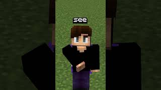 Is Your Crosshair Lying to You minecraft minecraftfacts facts interesting [upl. by Atinid]