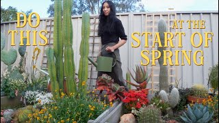 Springtime Garden Chores Prepping My Cacti Succulents amp Natives for Growing Season [upl. by Boothe545]