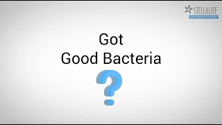 Got Good Bacteria [upl. by Orecic809]