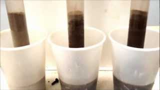 Class Demonstration of Capillary Rise [upl. by Dub]