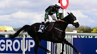 STRONG LEADER claims Liverpool Hurdle glory [upl. by Eirrotal]