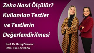 Zeka Nasıl Ölçülür Kullanılan Testler ve Testlerin Değerlendirilmesi [upl. by Frodi316]