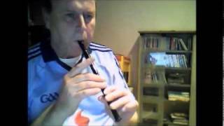 Joe Hill Tin Whistle [upl. by Rustie418]