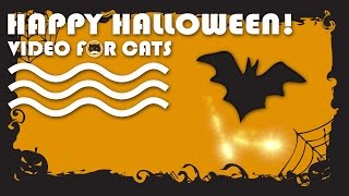 CAT GAMES  Happy Halloween Video for Cats to Watch [upl. by Ayouqes]