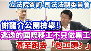 【立法院質詢】20240327－謝龍介公開檢舉 ！逃逸的國際移工不只去做黑工 甚至跑去「包工頭？」｜謝龍介質詢 行政院人事行政總處人事長 蘇俊榮 移民署副署長 陳建成 [upl. by Eesdnil]