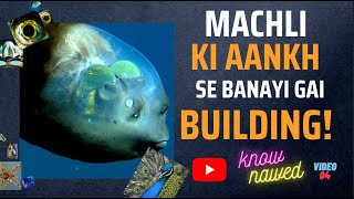 BIOMIMICRY EXAMPLES IN HINDI  MACHLI KI AANKH KO COPY KARKE BANAYI GAYI BUILDING [upl. by Nohs]