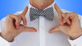 How to Tie a Bow Tie Self Tie Bow Tie Knot  How to Tie a Tie Easy Tutorial [upl. by Aitahs]