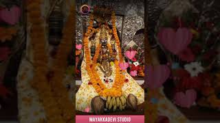 Mayakka devi song mayakka devi Marathi song mayakka devi new status Biroba Raja yallamma devi status [upl. by Sylirama]