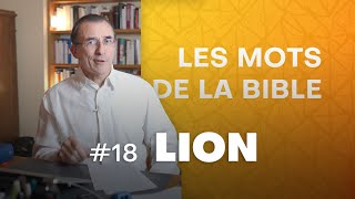 Le lion 🦁 dans la bible un personnage incontournable  Les mots de la Bible Ep 18 [upl. by Nahgiem]