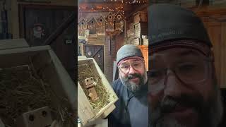 Turn scrap wood into real money proven to work diy woodworking woodcrafted driftwooddecor [upl. by Nednyl]