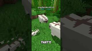 PeopleWatching Earth Bending City minecraft [upl. by Eilahs]