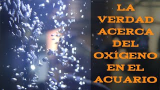 La Oxigenación en el Acuario  ¿Qué es en Realidad [upl. by Freddi342]