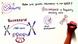 Team Telomere Telomere Biology Disorders [upl. by Nilyahs]