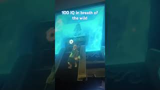 The legend of Zelda breath of the wild 100 IQ zelda nintendo videogames 100IQ [upl. by Vins]