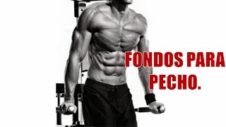 Fondos para Pecho Chest Dips DESARROLLO MUSCULAR PARA PECTORALES [upl. by Leifer]