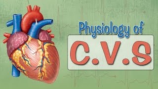 Easy Physiology  CVS  Cardiac Cycle [upl. by Eeclehc]