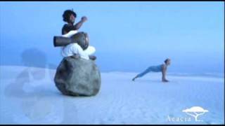 Kalari Vinyasa  From Shiva Rea Power Flow Yoga [upl. by Anyd680]