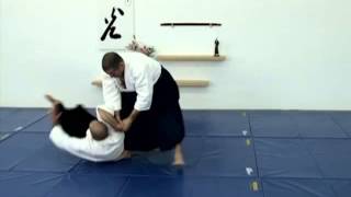 Aikido  Ryote Dori  Shiho Nage Omote [upl. by Arraeic]