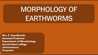 MORPHOLOGYMORPHOLOGY OF EARTHWORMVERMITECHNOLOGYEARTHWORM [upl. by Siramaj]