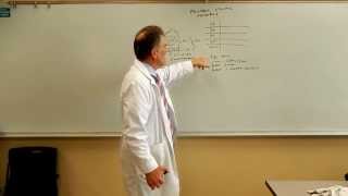 Pharmacy Calculations for Technicians  Powder Volume Problems [upl. by Shaia]