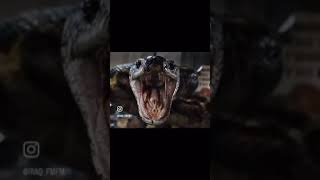 Anaconda 2024 l shortsfeed short anaconda wildlife movies ytshorts youtubeshorts snakes [upl. by Menides580]