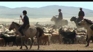 Ecotourisme et vie nomade en Mongolie [upl. by Fulbright]