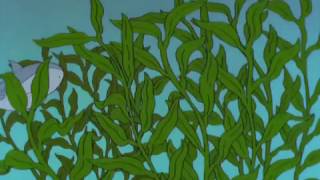 The Simpsons  Seaweed Shark [upl. by Walter]