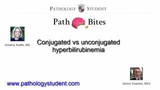 Path Bites Conjugated vs unconjugated hyperbilirubinemia [upl. by Yednil]