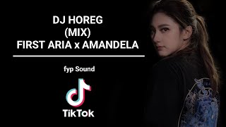 DJ  HOREG Mix First aria x Amandela  Fyp Sound Tiktok [upl. by Pytlik992]