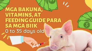 MGA BAKUNA VITAMINS AT FEEDS PARA SA MGA BIIK  0 TO 35 DAYS OLD PIGGERY BABUYAN [upl. by Suehtomit]