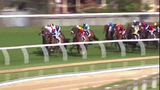 VIEWED NZ  2009 CAULFIELD CUP [upl. by Neltiak]