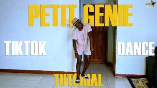 Petit genie  Jungeli Abou debeing Alonzo Tiktok Dance Tutorial [upl. by Lundgren]