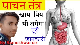 पाचन तंत्र  Digestive System in hindi  pachan tantra  Digestive System in human [upl. by Thanos]