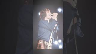 Back Door Man Live  The Doors music [upl. by Jara]