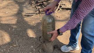 Como hacer potente abono orgánico liquido para arboles y plantas utilizando café y ceniza [upl. by Jeramie]