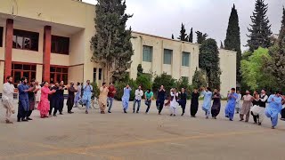 Attan In University Of Balochistan Quetta [upl. by Efthim]